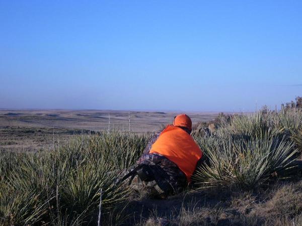 Wyoming mule deer hunting