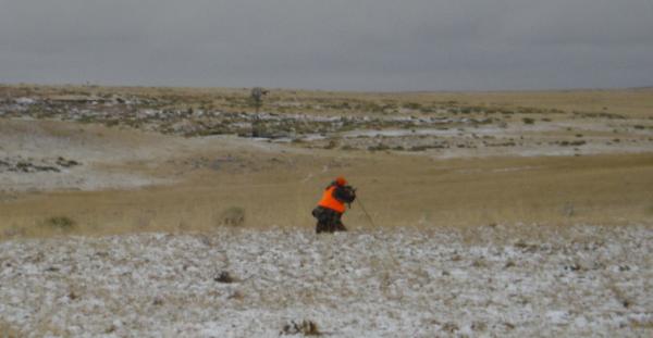 shooting hunting pronghorn antelope
