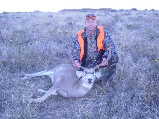 mule deer wyoming